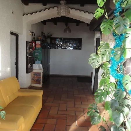 Le Colibri Lucciana (Corsica)